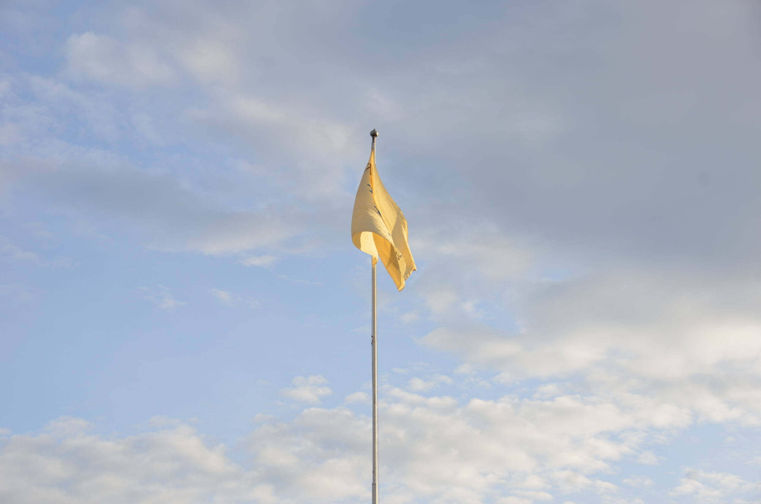 Foreningens flagg vaier